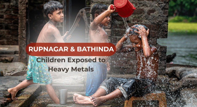 High Levels of Toxin metals in Rupnagar and Bathinda