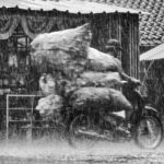 IMD Predicts Heavy Rains