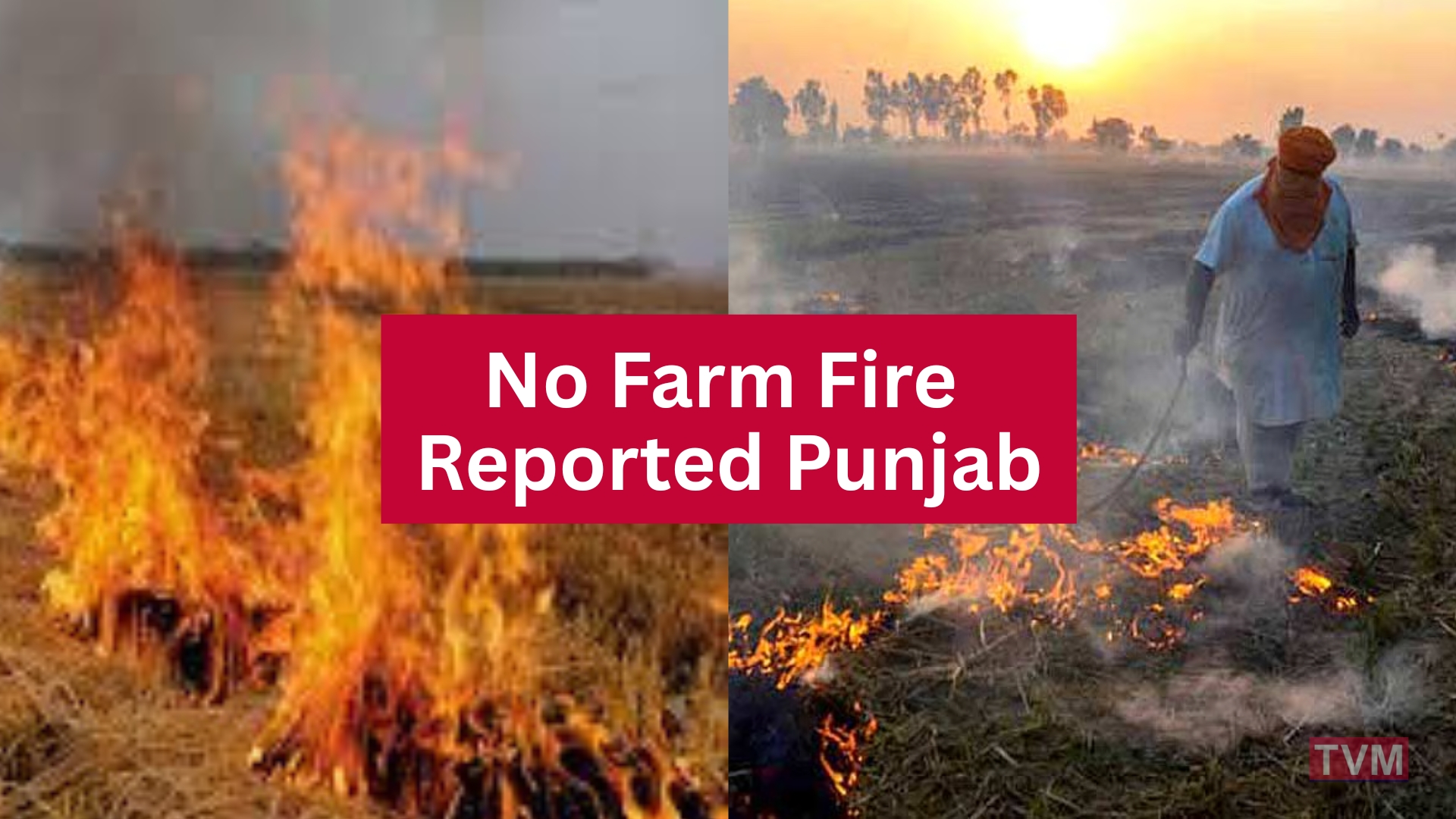 No Farm Fire Reported Punjab