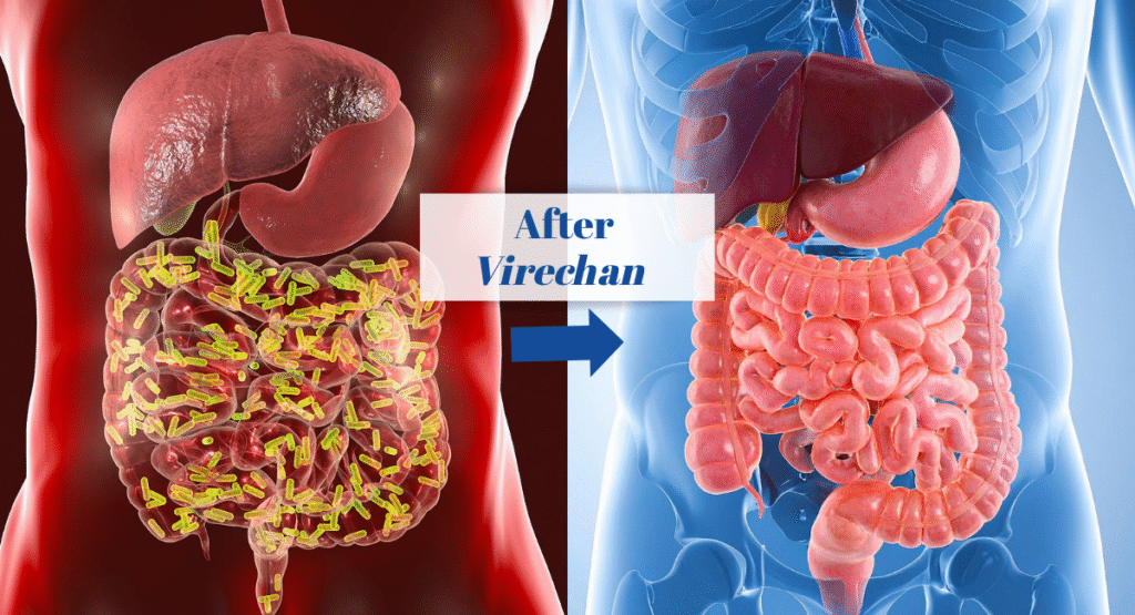 Magazine articles - 2025-10-22T171210597 - TVM Times – Trusted News, Clear Vision & Latest Updates Diwali 2025 detox and gut reset with Virechan karma
