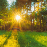 Decline in Sunshine Hours Across India: A 30-Year Study Reveals Alarming Trends
