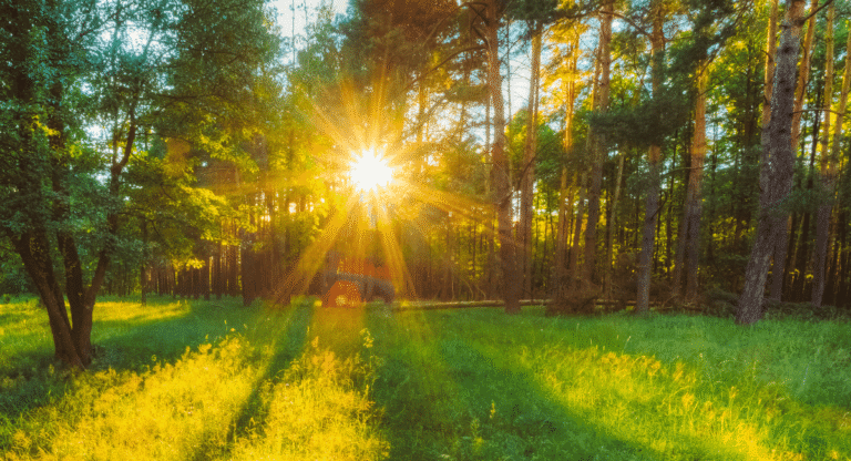 Decline in Sunshine Hours Across India: A 30-Year Study Reveals Alarming Trends
