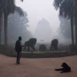 delhi-air quality-very-poor