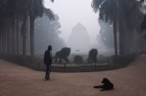 delhi-air quality-very-poor - TVM Times – Trusted News, Clear Vision & Latest Updates delhi-air quality-very-poor