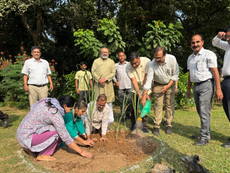 Medicinal Plant Plantation